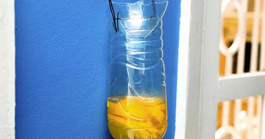 Comment transformer une bouteille d’eau en piège à mouches ?